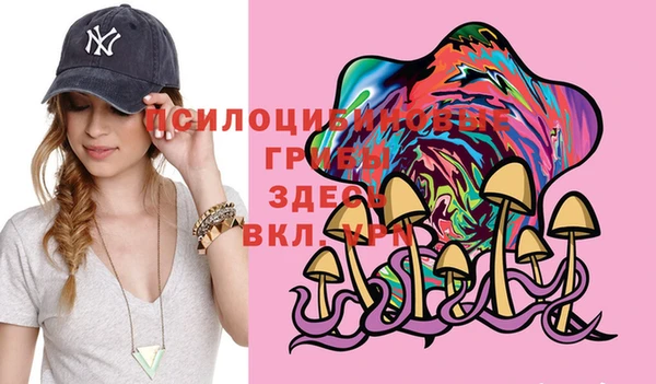 ешки Вязники