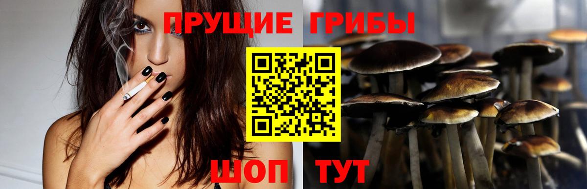 Избербаш  Псилоцибиновые грибы MAGIC MUSHROOMS  Вход с VPN  Галлюциногенные грибы Cubensis 